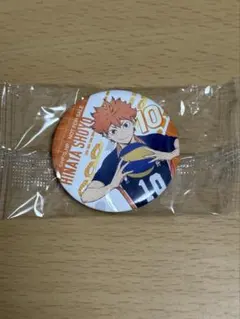 ハイキュー　日向翔陽 ピンバッジ & マスキングテープ セット