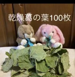 Item thumbnail for item 342e6b0f-f76e-4729-a15e-13d28bc18831