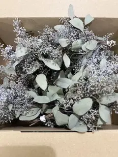 2025年最新】ポポラスベリーリースの人気アイテム - メルカリ