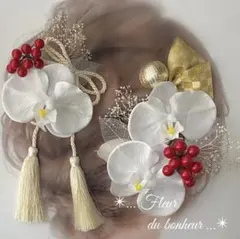 ピュアホワイト胡蝶蘭の髪飾り　成人式 結婚式 卒業式 浴衣 袴 コチョウラン