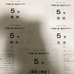 2026年最新】サピックス 5年 テスト 7月 組分けの人気アイテム - メルカリ