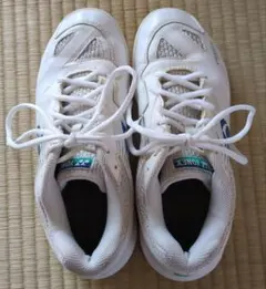 Item thumbnail for item 742b3437-727b-4573-beb9-d1f2db4c7242