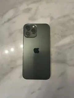 Apple iPhone 13 Pro Maxアルパイングリーン 本体