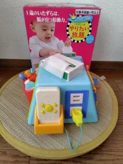 いたずら1歳やりたい放題セレクト