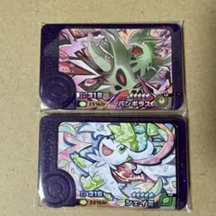 ポケモン　フレンダ　スーパートレジャー　バンギラス　シェイミ