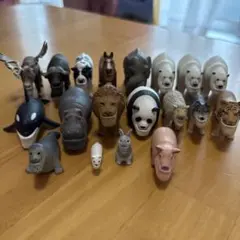 シャクレプラネット