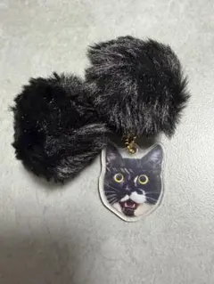 にゃんたますこっと サプライズ 黒猫 キーホルダー