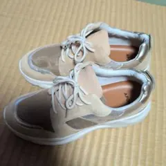 Item thumbnail for item b1e86ccf-141e-4366-9707-224bac9f7e04