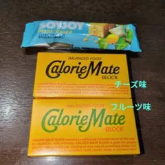 Item thumbnail for item 62d0069f-1a57-4839-b63e-e48c9864a736