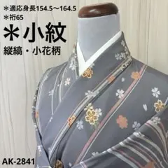 AK-2841 裄65 縞模様 花柄 金彩 小紋 正絹　広衿　袷　着物