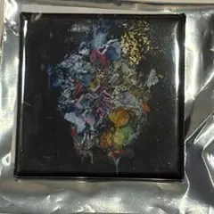 RADWIMPS ジャケット缶バッジ ビッグエコーコラボ商品