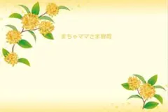 まちゃママさま専用