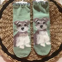 ミニチュア・シュナウザー　靴下セット