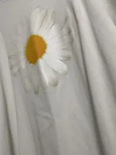 Item thumbnail for item 8f2a370e-f76c-407a-a84f-b83f08873a83