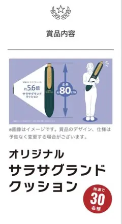 사라사 오리지널 그라운드 쿠션 신품