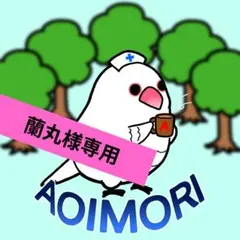 蘭丸様 リクエスト 2点 まとめ商品