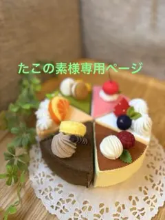 たこの素様専用ページ＊フェルトケーキ