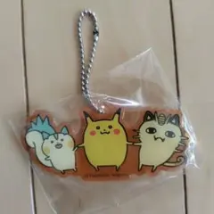 ポケモン 24じかんポケモンCHU アクリルチャーム ピカチュウ パチリス
