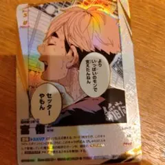 本日のみ値下げ中‼️ハイキュー バボカ 最強の挑戦者 宮侑 頂P