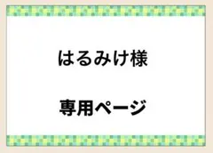 はるみけ様専用