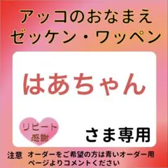 はあちゃんさま専用 おなまえゼッケン アイロン接着 №