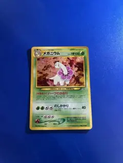 旧裏　メガニウム_プレミアムファイル PROMO 第1世代 1996~1999