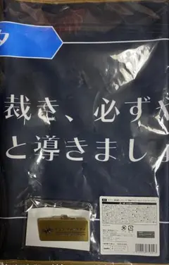 カプくじ 逆転裁判 ナユタ 2点セット