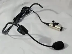 Item thumbnail for item f5a2bd21-0079-42d0-872c-0e96a347d01f