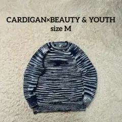 BEAUTY&YOUTH × CARDIGAN ペルー製 クルーニット Mのサムネイル