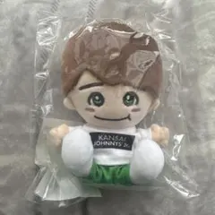 なにわ男子 大橋和也 ちびぬい