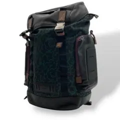 美品 コーチ coach ディズニーコラボ リュック ウェイビーアニマル