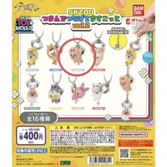 SKZOOつまんでつなげてますこっとvol.2 DWAEKKI