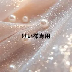 けい様専用ページ