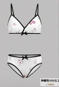 Item thumbnail for item 288a70e2-78e8-4d81-8e14-9056f8a37231