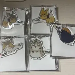 ハイキュー アクキー 宮侑 宮治 日向 研磨 木兎