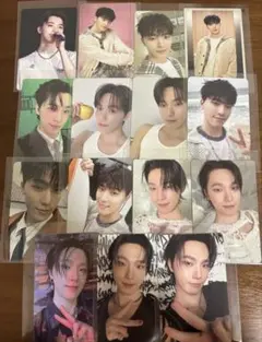 ディノ タレントカード