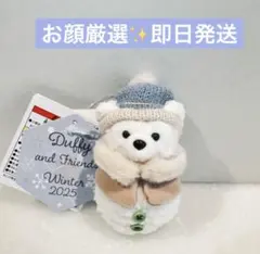 ダッフィー　ぬいぐるみチャームシークレットオブスノーウィーデイ 雪だるま③