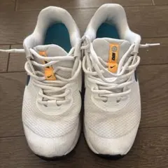 NIKE スニーカー レボリューション メンズ　ランニングシューズ　25cm