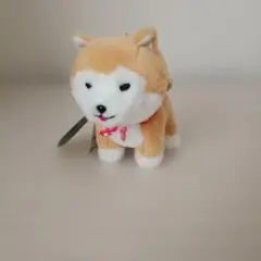 豆しば三兄弟