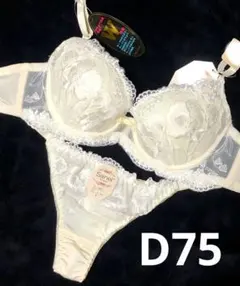 D75 豪華　エレガンスフラワー　Tバック　ブラショーツセット 綺麗　セクシー