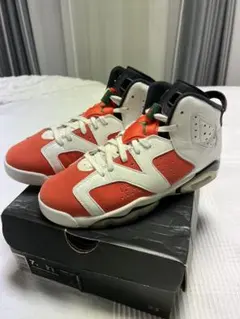 ナイキ エアジョーダン6 レトロ ゲータレード ライク マイク ホワイト