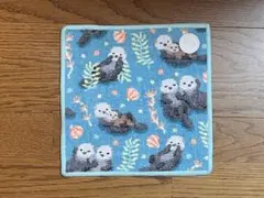 セール【新品】フェイラー　ハンカチ（プカプカラッコ）