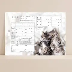 Item thumbnail for item b3a50c8e-ed2c-4f4c-bb57-9627590039a3