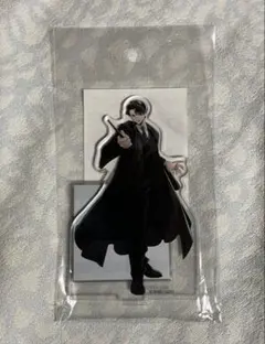 ハリーポッター アクリルスタンド トム・リドル