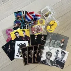 ELLY グッズセット