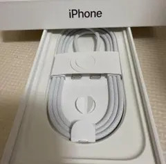 iPhone純正イヤホン付属品　タイプCケーブル