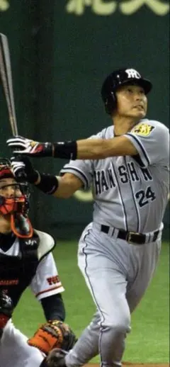 超希少！現役時代使用された元阪神タイガース檜山進次郎直筆サイン入りバット 2026年最新】桧山 バットの人気アイテム - メルカリ