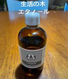 Item thumbnail for item 18530079-b8e9-4f2a-9436-50921c9f2286