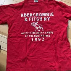 アバクロ　夏　Tシャツ