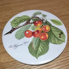 Item thumbnail for item 5f52b3f8-5850-4ec9-a64e-1804ae24ce23